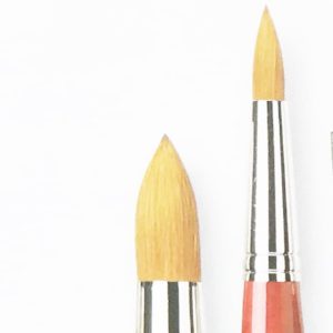 cbart-cosmotop-spin-davinci spids - Kopi