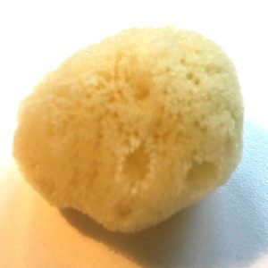 natursvamp 6-7 cbart 1